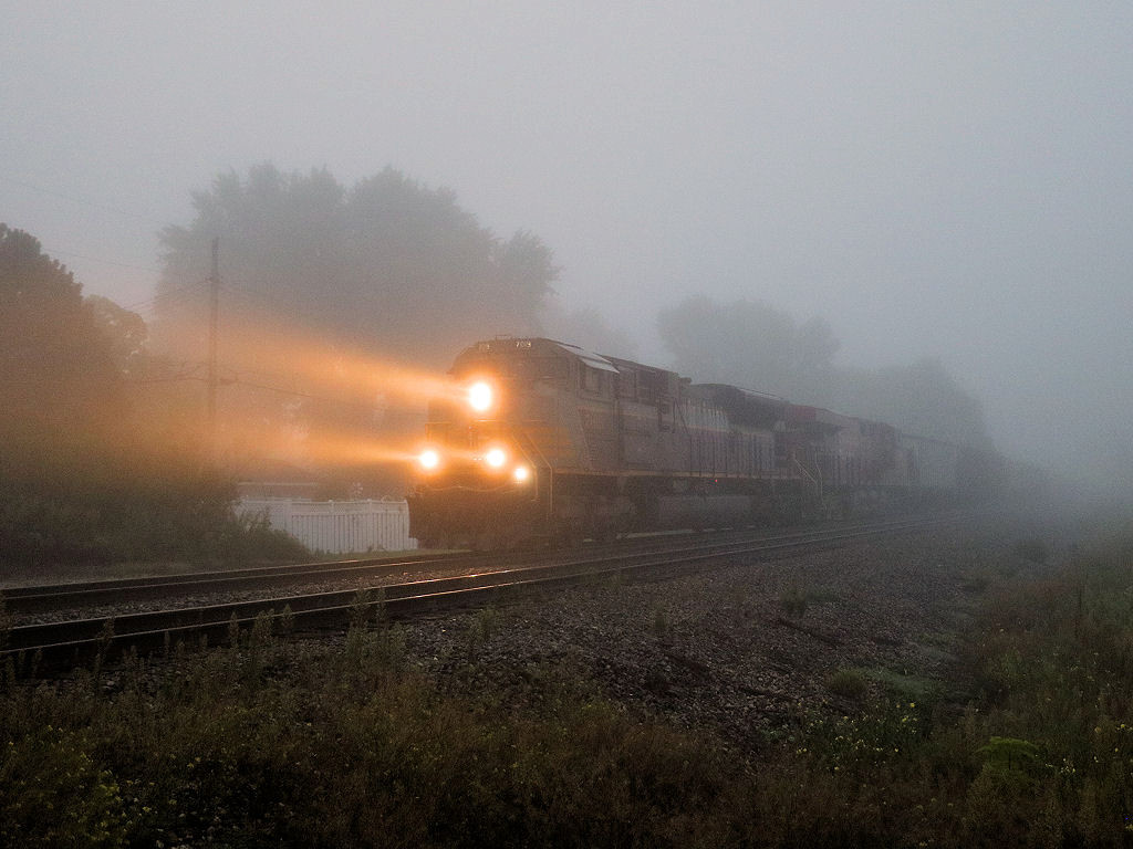 CP 7019
